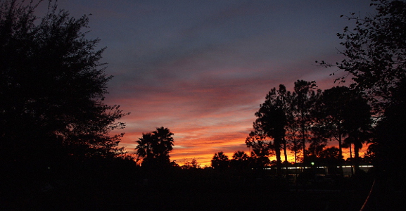 [A swathe of yellow lights the lowest part of the horizon backlighting the outline of palm trees, leafed trees, and some bushes. Above the yellow is orange, pink, and then bluish-pink skies.]